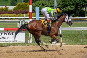 the #4 horse and jockey at Hollywood Casino