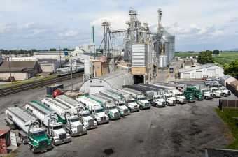 lineup of trucks in a parking lot at Triple-M-Farms