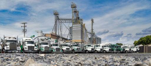 lineup of trucks in a parking lot at Triple-M-Farms