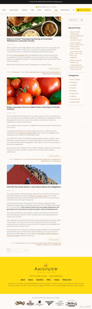 amishviewinn-blog.png (520 KB)