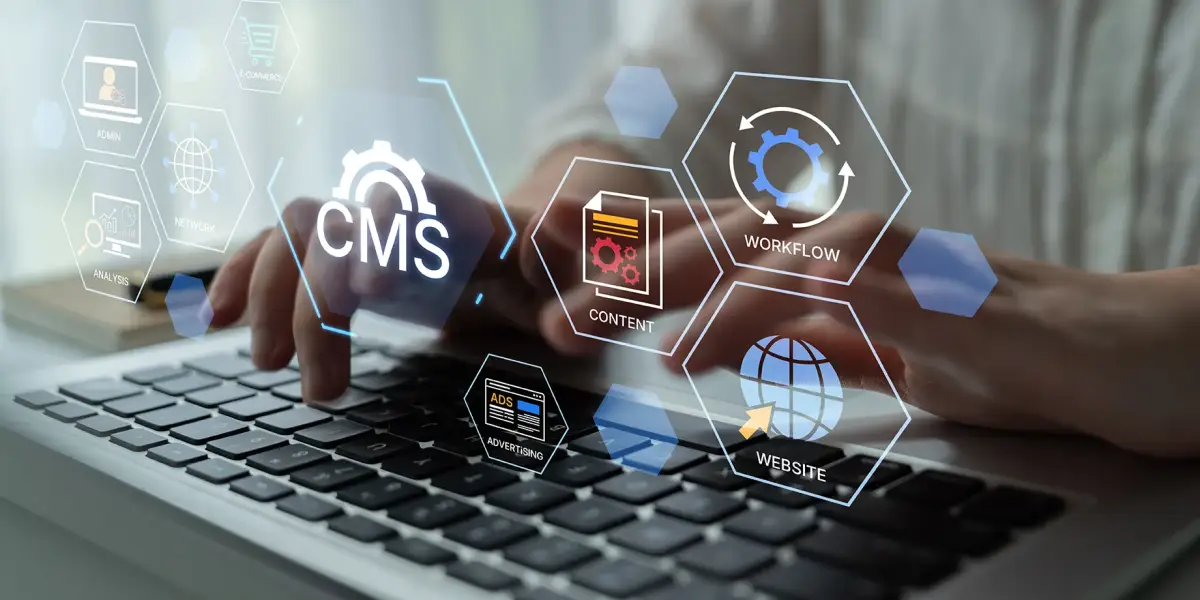 Content management system development and CMS platform customization