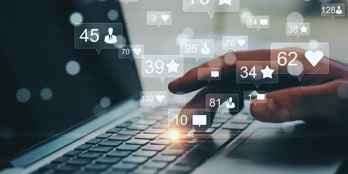 Online reputation management and review building services