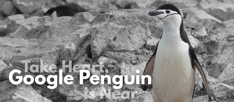 Take Heart, Google Penguin is Near - Header