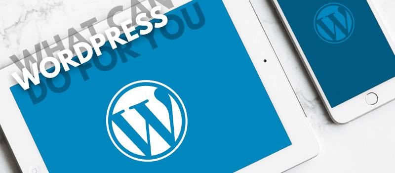 What Can WordPress Do For You?