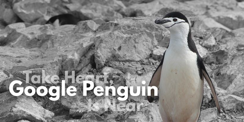 Take Heart, Google Penguin is Near - Header