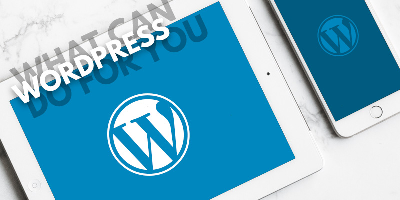 What Can WordPress Do For You?